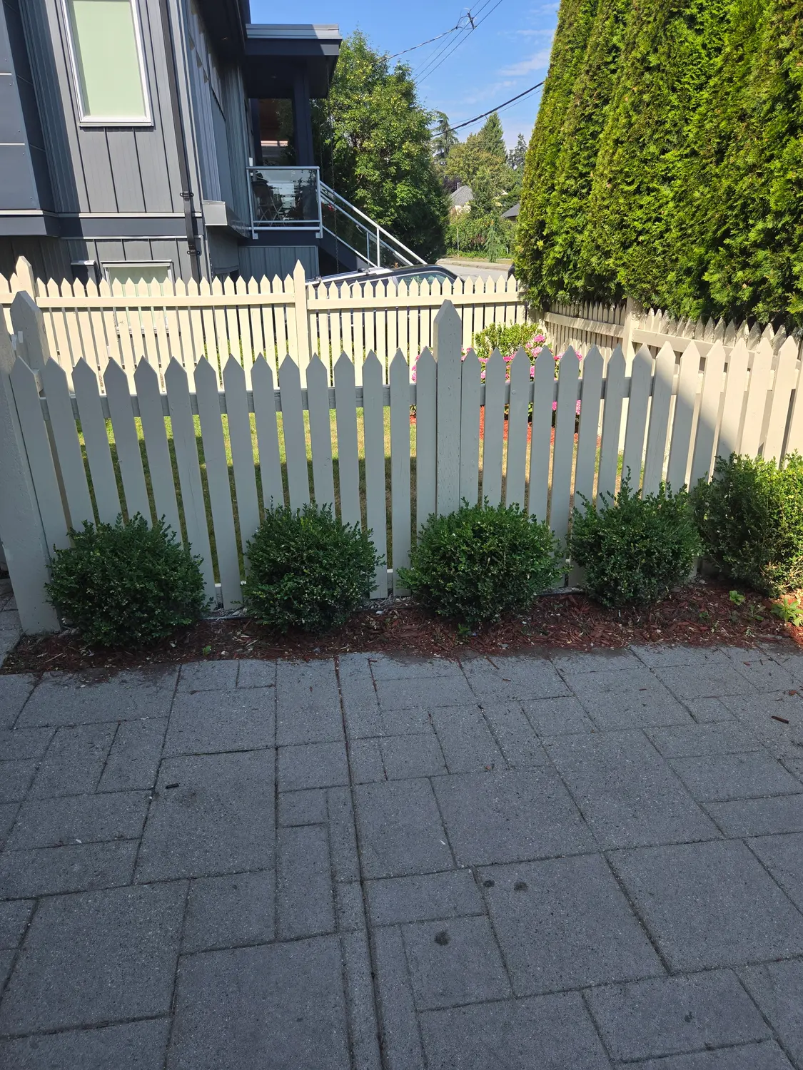 Finished cream picket fence running along a row of trimmed boxwoods