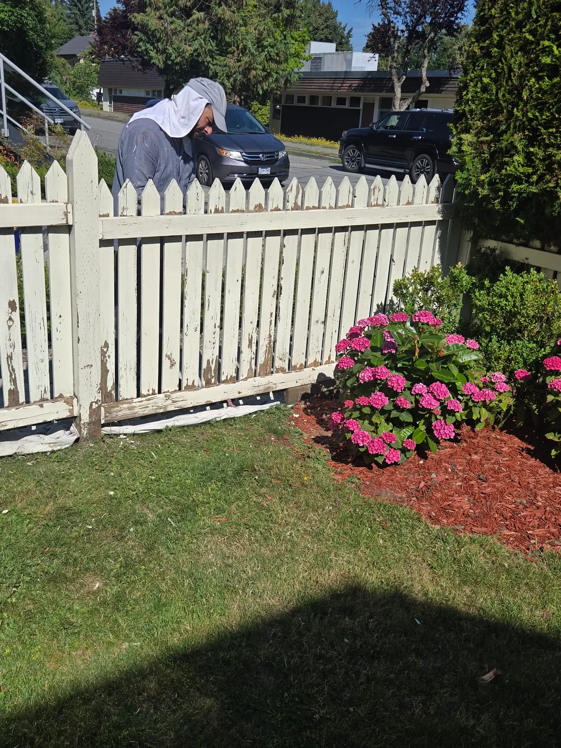 Painter scraping and prepping an old picket fence before the new coat goes on