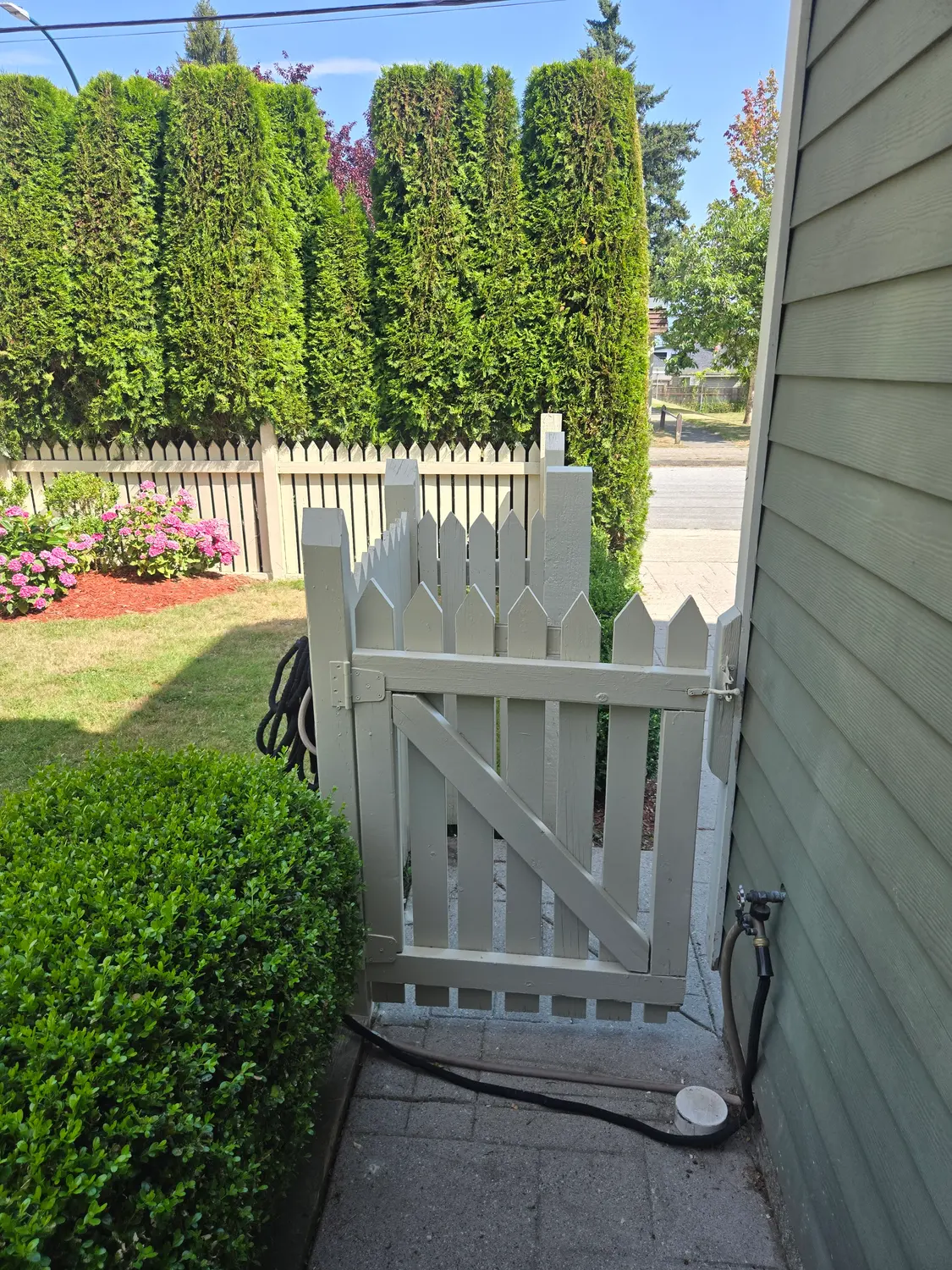 The same garden gate repainted in clean cream, with sharp edges and full coverage